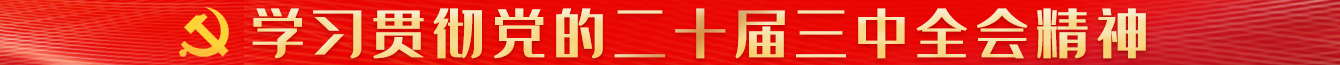 学习贯彻三中全会精神